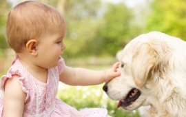Baby And Dog, wallpapers