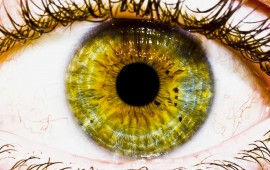 The Eye, wallpapers